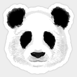 Panda Head Sticker